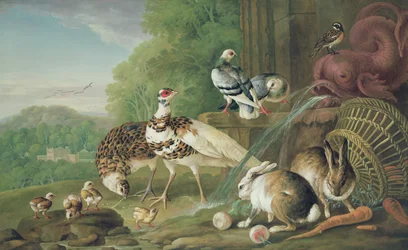 Vögel und Kaninchen